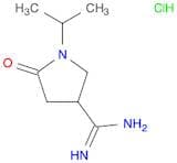 1-Isopropyl-5-oxopyrrolidine-3-carboximidamide hydrochloride