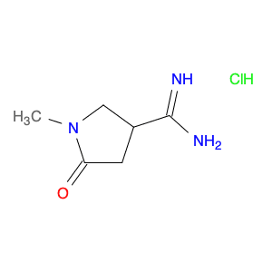 1-Methyl-2-oxopyrrolidine-4-carboxamidine, HCl