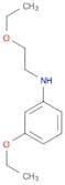 BENZENAMINE, 3-ETHOXY-N-(2-ETHOXYETHYL)-