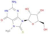 Guanosine, 7,8-dihydro-7-methyl-8-thioxo- (9CI)