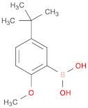 5-t-Butyl-2-methoxyphenylboronic acid