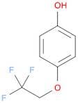 Phenol,4-(2,2,2-trifluoroethoxy)-