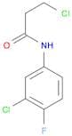 Propanamide, 3-chloro-N-(3-chloro-4-fluorophenyl)-