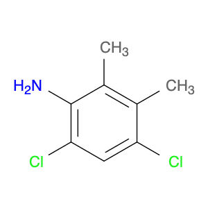 4,6-Dichloro-2,3-dimethylaniline
