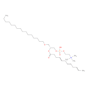 1-O-hexadecyl-2-Docosahexaenoyl-sn-glycero-3-PC