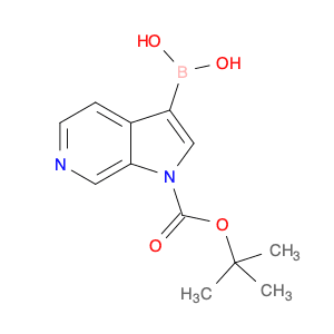 1-Boc-pyrrolo[2,3-c]pyridine-3-ylboronic acid