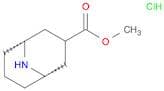 Methyl 9-azabicyclo[3.3.1]nonane-3-carboxylate hydrochloride