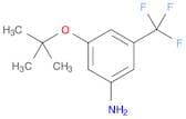 3-(tert-Butoxy)-5-(trifluoromethyl)aniline