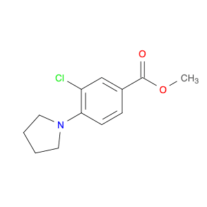Benzoic acid, 3-chloro-4-(1-pyrrolidinyl)-, methyl ester