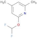 2-(Difluoromethoxy)-4,6-dimethylpyridine