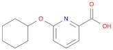 6-(Cyclohexyloxy)picolinic acid