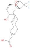 Thromboxa-5,13-dien-1-oic acid, 9,11-epoxy-10,10-difluoro-15-hydroxy-, (5Z,9α,11α,13E,15S)- (9CI)