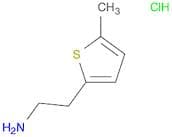 2-(5-Methyl-2-Thienyl)Ethanamine Hydrochloride
