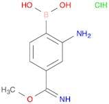 2-Amino-4-(imino(methoxy)methyl)phenylboronic acid, HCl