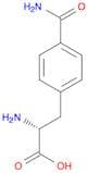 (R)-2-Amino-3-(4-carbamoylphenyl)propanoic acid