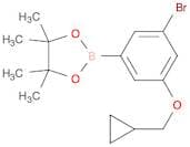 1,3,2-Dioxaborolane, 2-[3-bromo-5-(cyclopropylmethoxy)phenyl]-4,4,5,5-tetramethyl-
