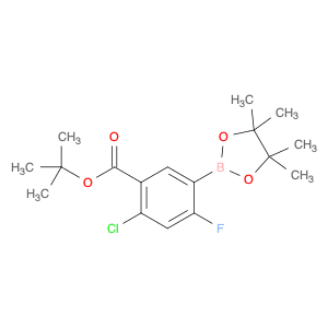 5-(t-Butoxycarbonyl)-4-chloro-2-fluorophenylboronic acid, pinacol ester