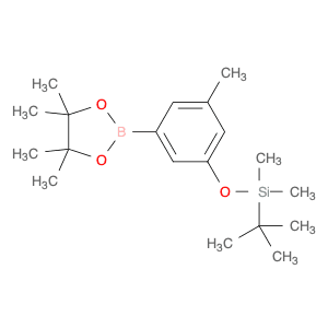 3-(t-Butyldimethylsilyloxy)-5-methylphenylboronic acid, pinacol ester