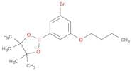 1,3,2-Dioxaborolane, 2-(3-bromo-5-butoxyphenyl)-4,4,5,5-tetramethyl-