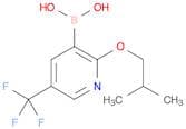 (2-Isobutoxy-5-(trifluoromethyl)pyridin-3-yl)boronic acid