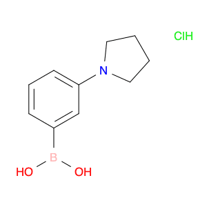 3-Pyrrolidinophenylboronic acid, HCl