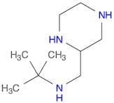 2-Piperazinemethanamine, N-(1,1-dimethylethyl)-