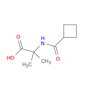 Alanine, N-(cyclobutylcarbonyl)-2-methyl-