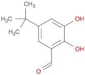 5-(tert-Butyl)-2,3-dihydroxybenzaldehyde
