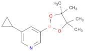 5-Cyclopropylpyridin-3-ylboronic acid pinacol ester
