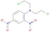 Benzenamine, N,N-bis(2-chloroethyl)-2,4-dinitro-