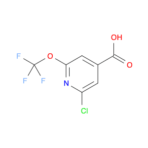 2-Chloro-6-(trifluoromethoxy)-4-pyridinecarboxylic acid