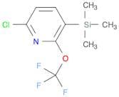 Pyridine, 6-chloro-2-(trifluoromethoxy)-3-(trimethylsilyl)-