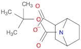 7-[(tert-Butoxy)carbonyl]-7-azabicyclo[2.2.1]heptane-2-carboxylic acid