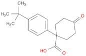 1-(4-tert-Butylphenyl)-4-oxocyclohexanecarboxylic Acid