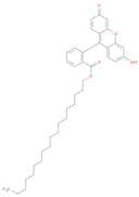 Benzoic acid, 2-(6-hydroxy-3-oxo-3H-xanthen-9-yl)-, octadecyl ester