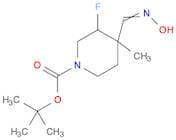 tert-Butyl 3-fluoro-4-((hydroxyimino)methyl)-4-ethylpiperidine-1-carboxylate