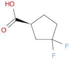 Cyclopentanecarboxylic acid, 3,3-difluoro-, (1S)-