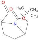 8-Azabicyclo[3.2.1]octane-8-carboxylic acid, 2-oxo-, 1,1-dimethylethyl ester