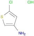 5-Chlorothiophen-3-amine hydrochloride