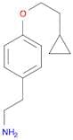 2-[4-(2-Cyclopropylethoxy)phenyl]ethylamine