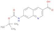 3-Quinolinecarboxylic acid, 7-[[(1,1-dimethylethoxy)carbonyl]amino]-