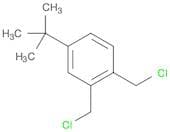 Benzene, 1,2-bis(chloromethyl)-4-(1,1-dimethylethyl)-