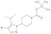 1-Piperidinecarboxylic acid, 4-[4-bromo-5-(difluoromethyl)-1H-pyrazol-1-yl]-, 1,1-dimethylethyl es…