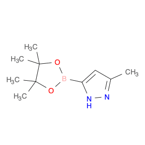 3-Methyl-1h-pyrazole-5-boronic acid pinacol ester