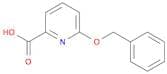 2-Pyridinecarboxylic acid, 6-(phenylmethoxy)-