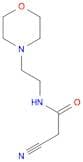 2-Cyano-N-(2-morpholin-4-yl-ethyl)-acetamide