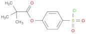 Propanoic acid, 2,2-dimethyl-, 4-(chlorosulfonyl)phenyl ester