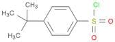 Benzenesulfonyl chloride, 4-​(1,​1-​dimethylethyl)​-