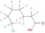 Heptanoic acid, 7-chloro-2,2,3,3,4,4,5,5,6,6,7,7-dodecafluoro-