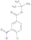 Benzoic acid, 4-chloro-3-nitro-, 1,1-dimethylethyl ester
